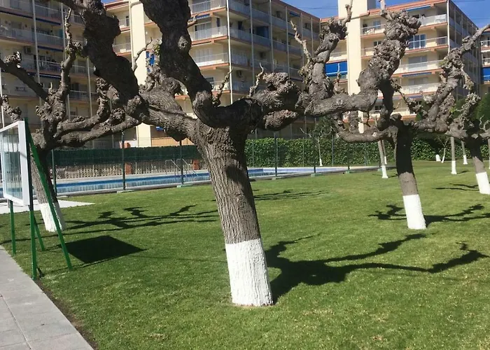 La Pineda III