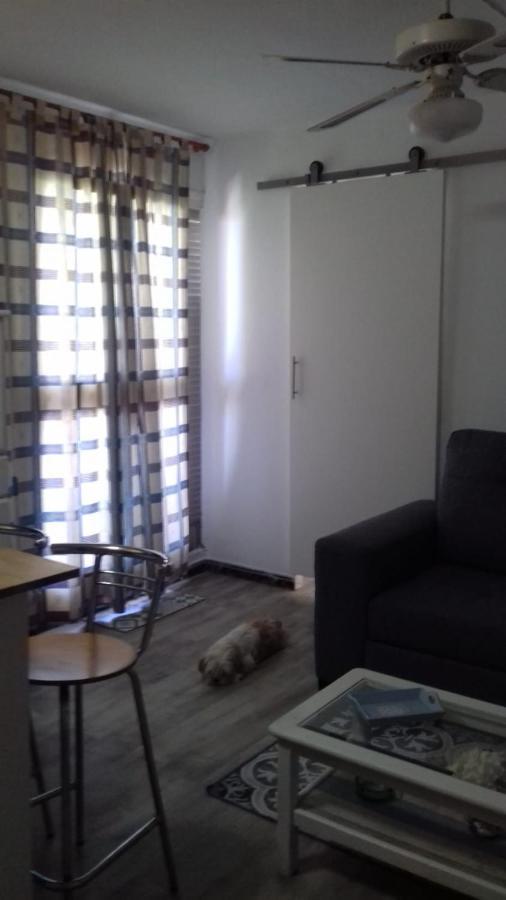 Apartment Iii La Pineda